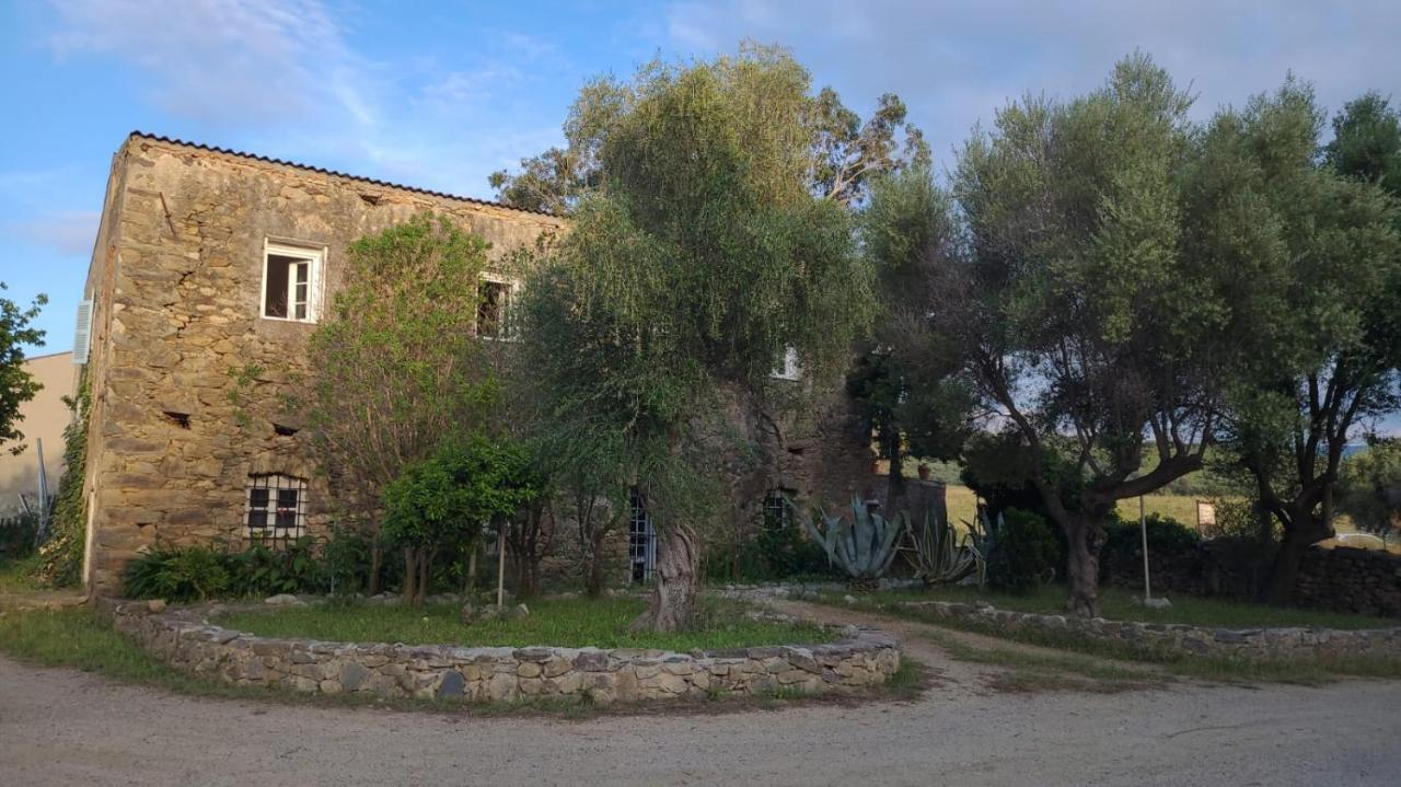 Domaine Ostriconi Bed & Breakfast Palasca  Eksteriør bilde